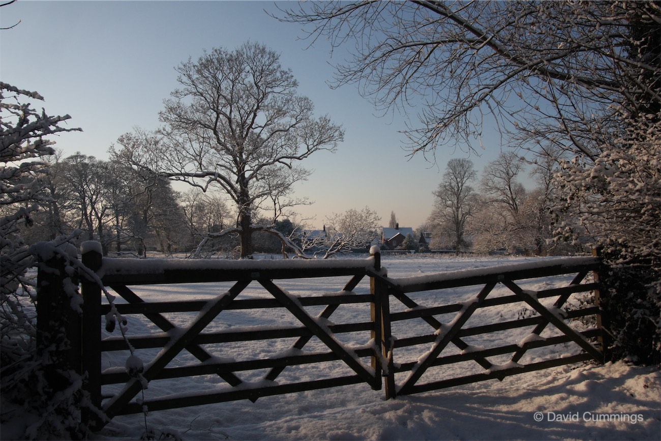 The Quarry Field, Christleton