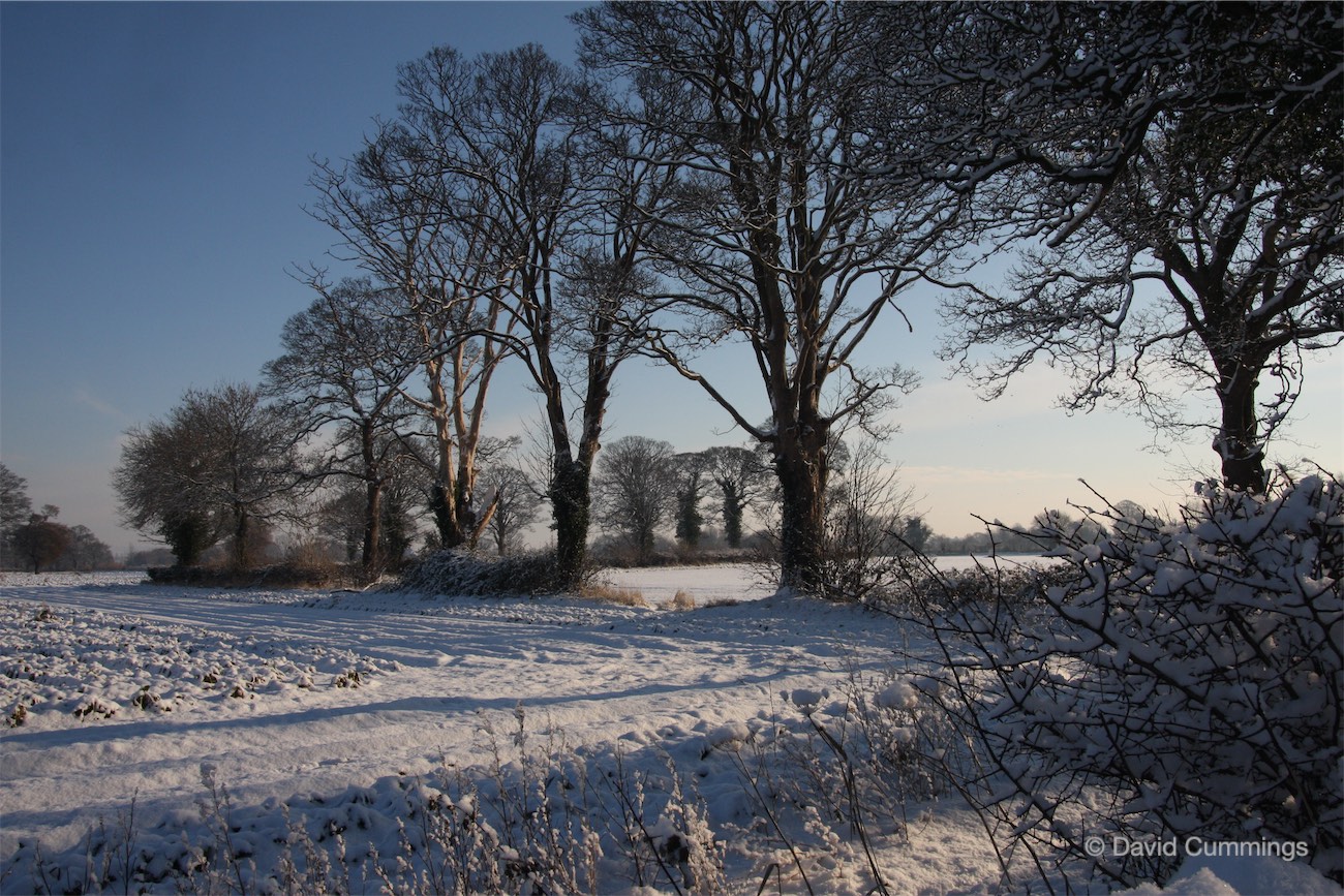 View from Legion Meadow, Christleton