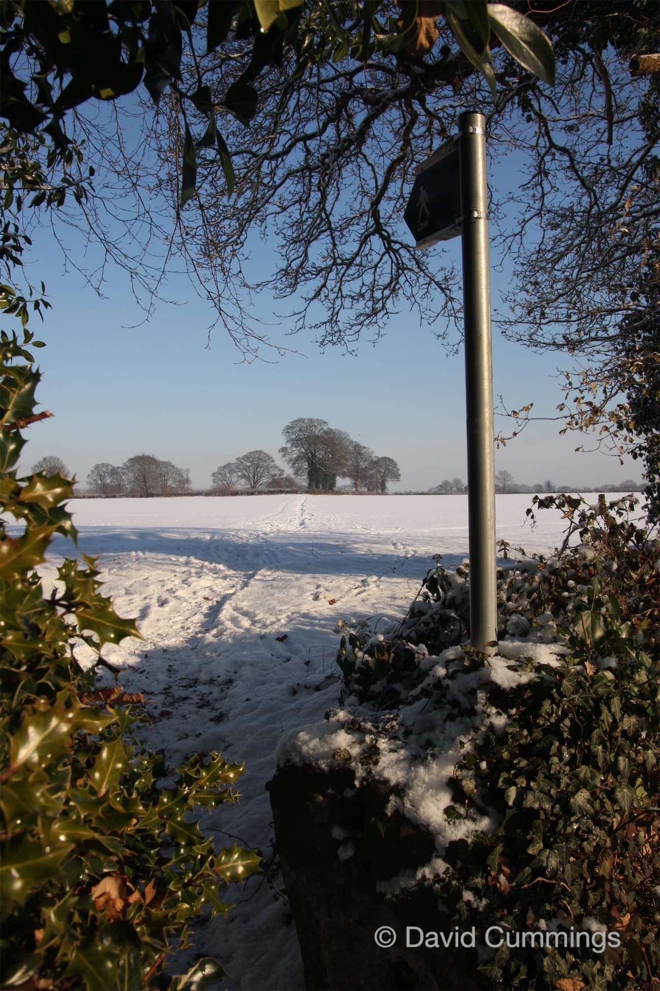Footpath to Birch Heath