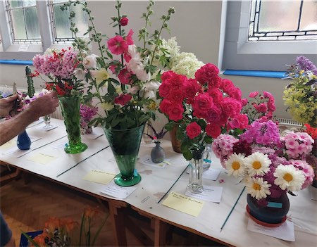  Floral Section 