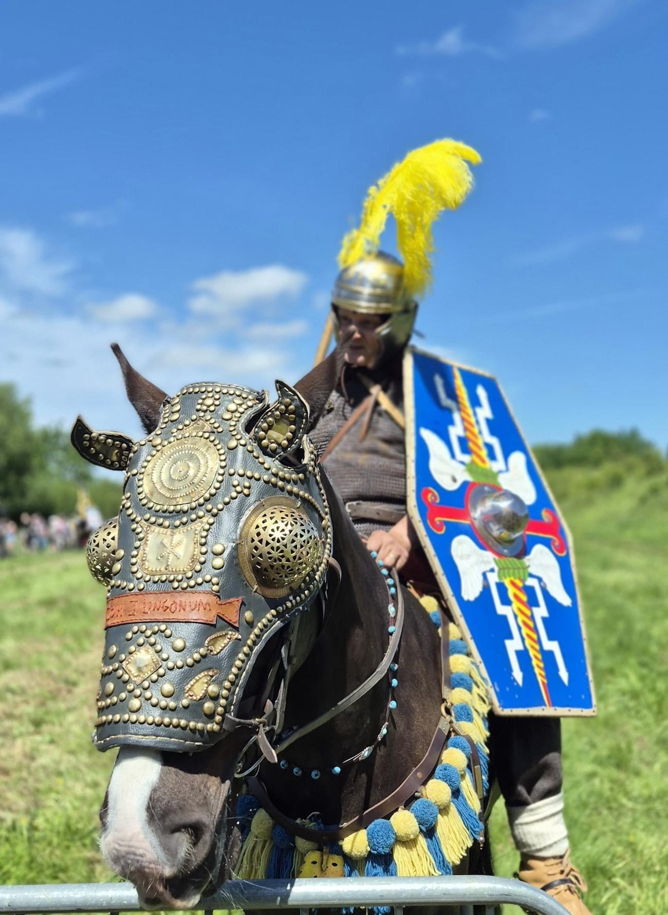 Horses Leather