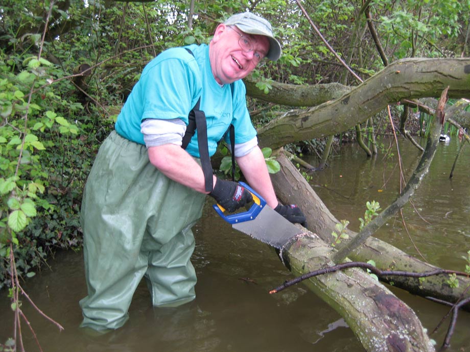 Sawing trees Christleton Pit  Sawing trees Christleton Pit