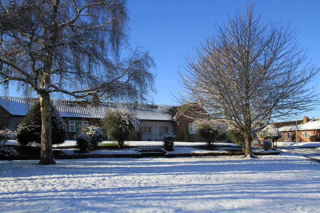 The Square  The Square