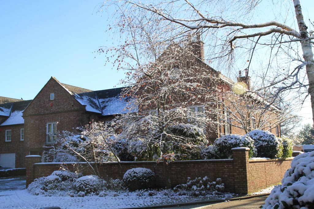 Alms Houses  Alms Houses