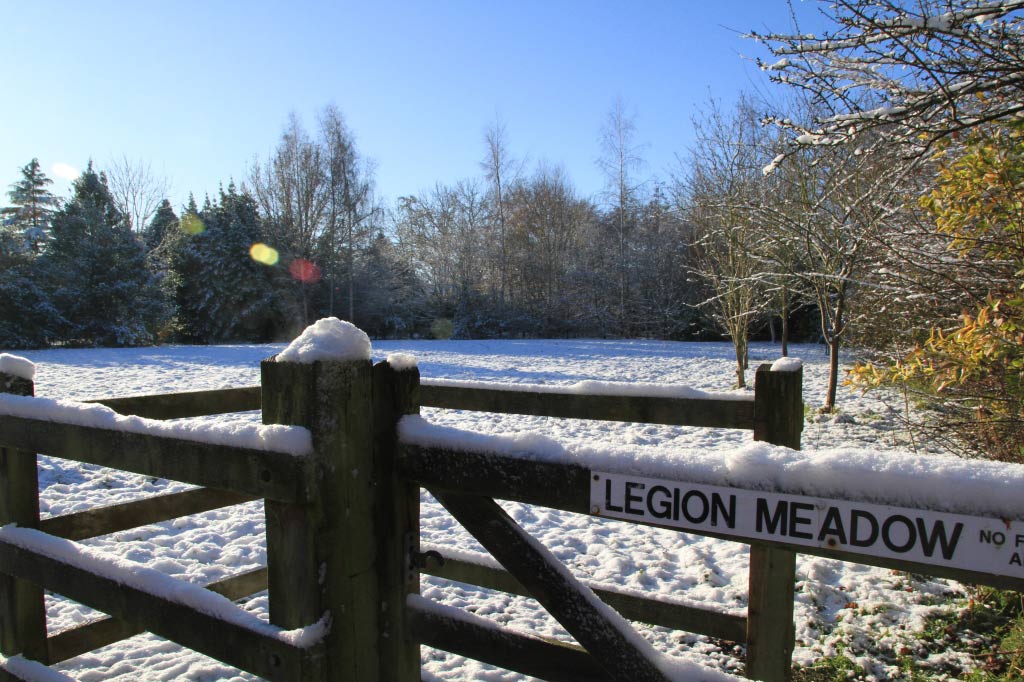 Legion Meadow  Legion Meadow