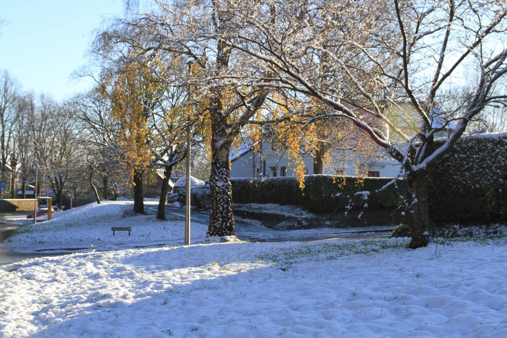 Village Road  Village Road