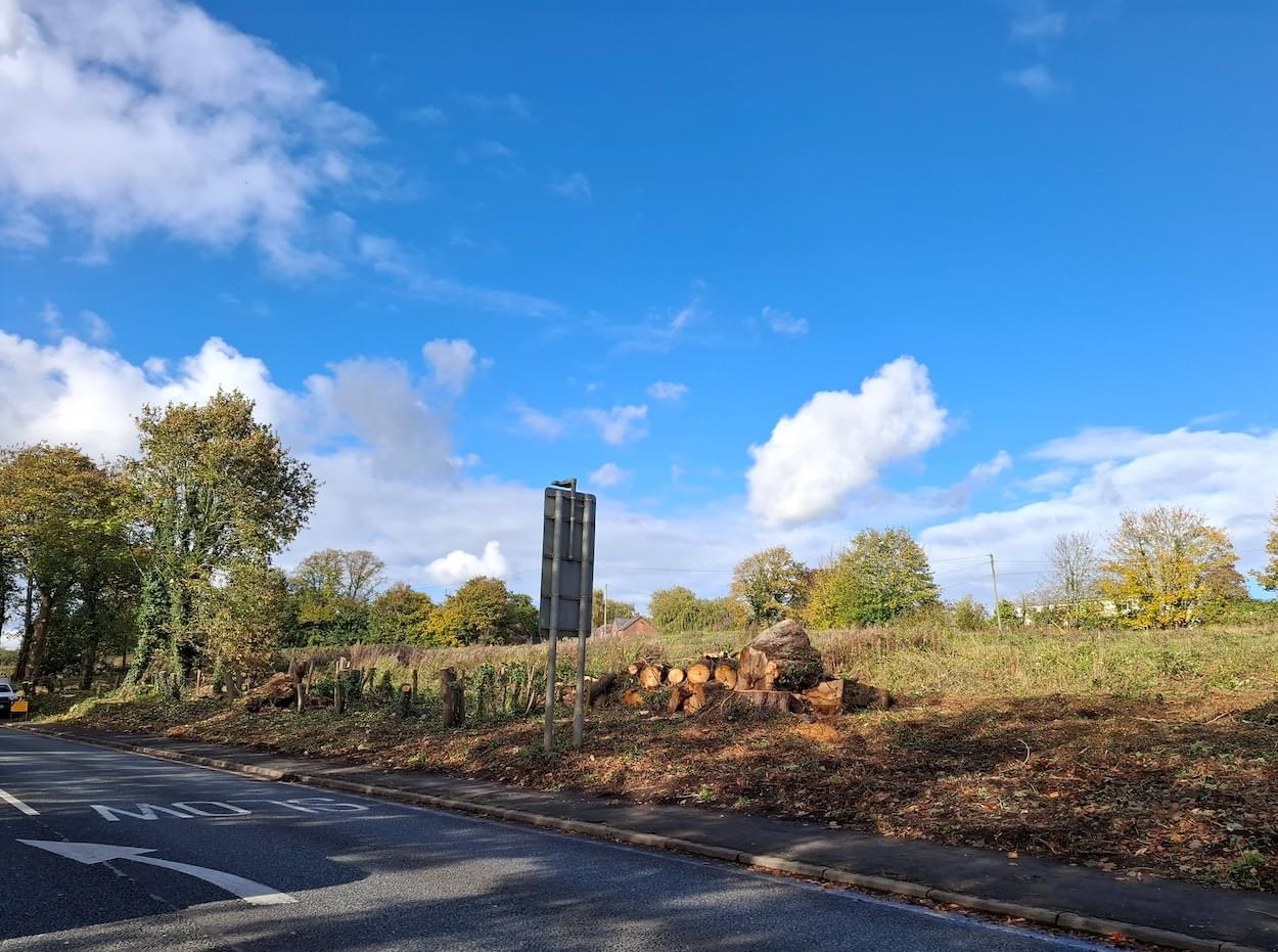 Tree and Hedgehog felling at Christleton