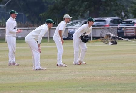 Behind the Stumps in Christleton