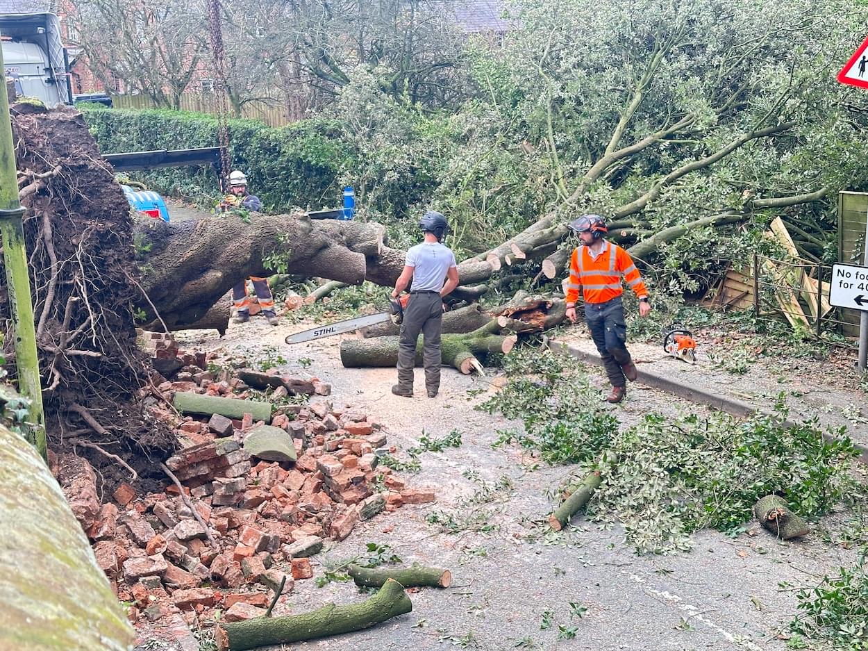 Work on clearing Pepper Street of the fallen tree  Work on clearing Pepper Street of the fallen tree