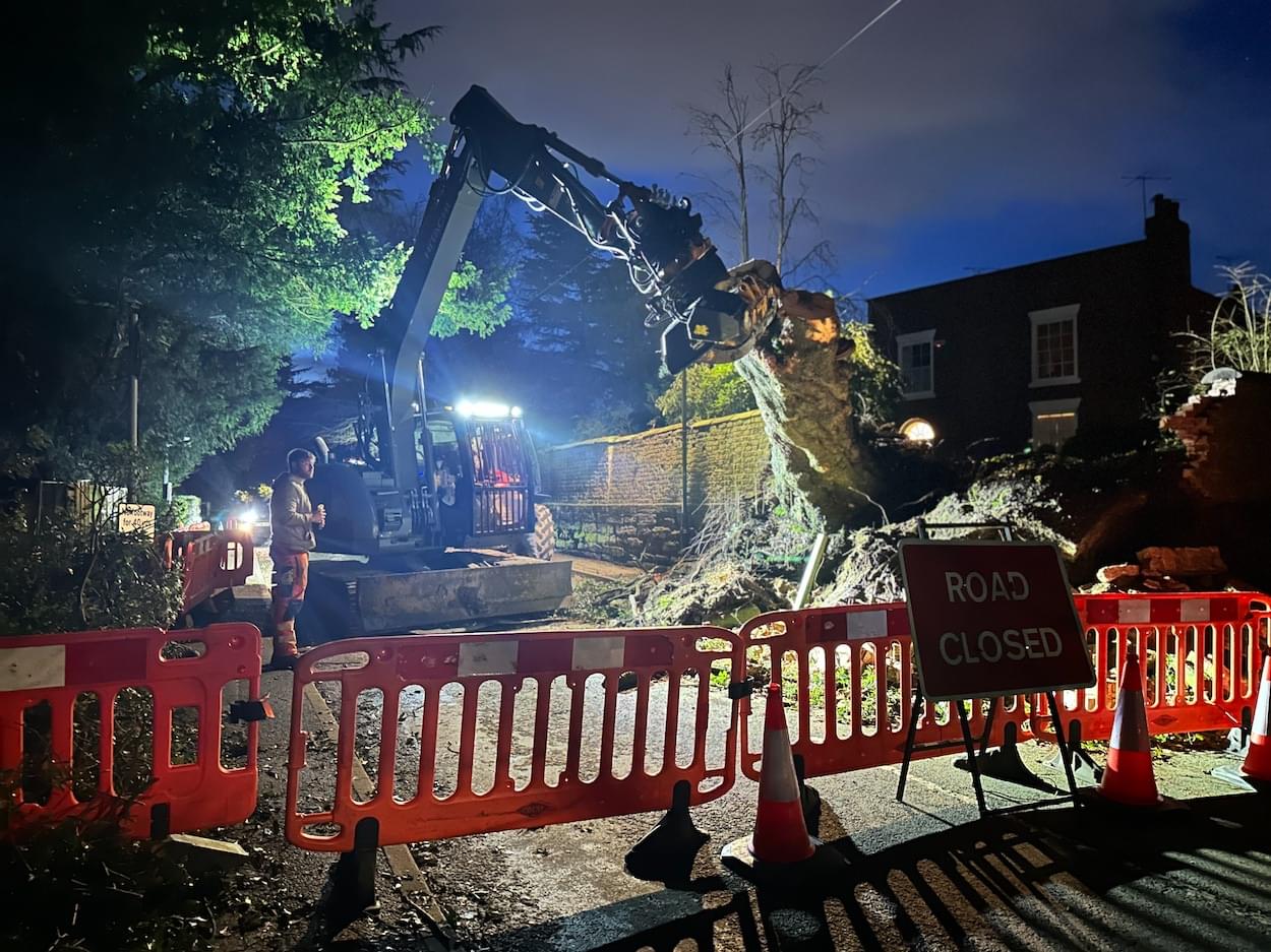 Nightime work on the tree root  Nightime work on the tree root