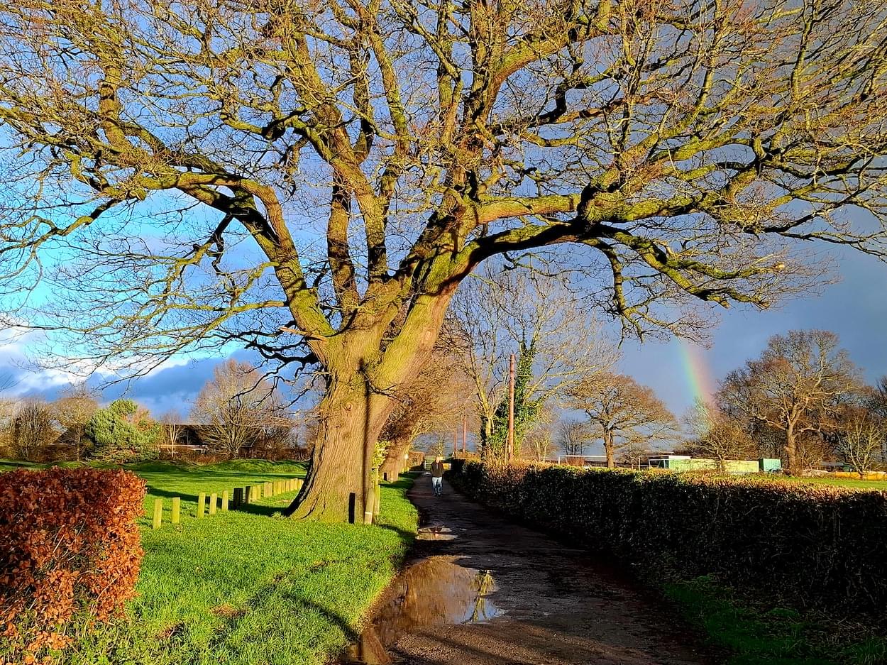 View towards Christleton Sports Club in January  View towards Christleton Sports Club in January