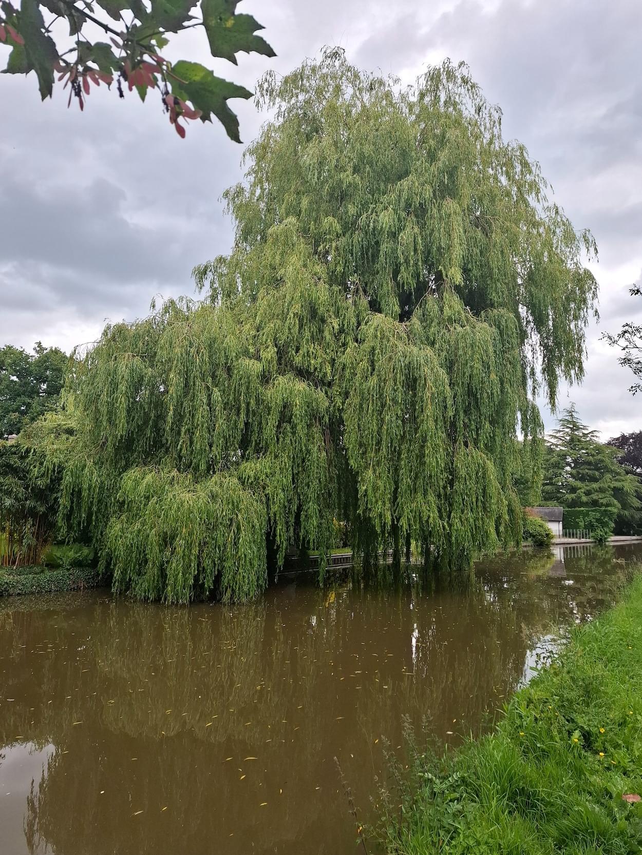 Shropshire Union Canal at Christleton  Shropshire Union Canal at Christleton