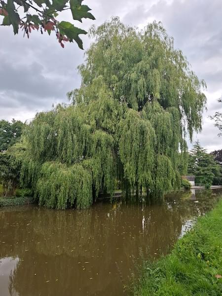 Shropshire Union Canal at Christleton