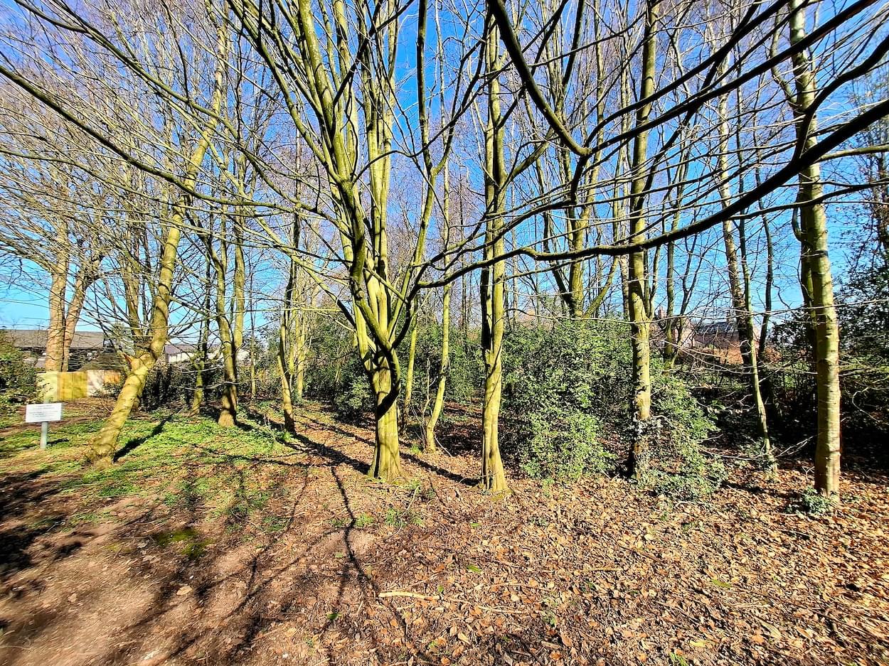 Legion Meadow in Christleton  Legion Meadow in Christleton