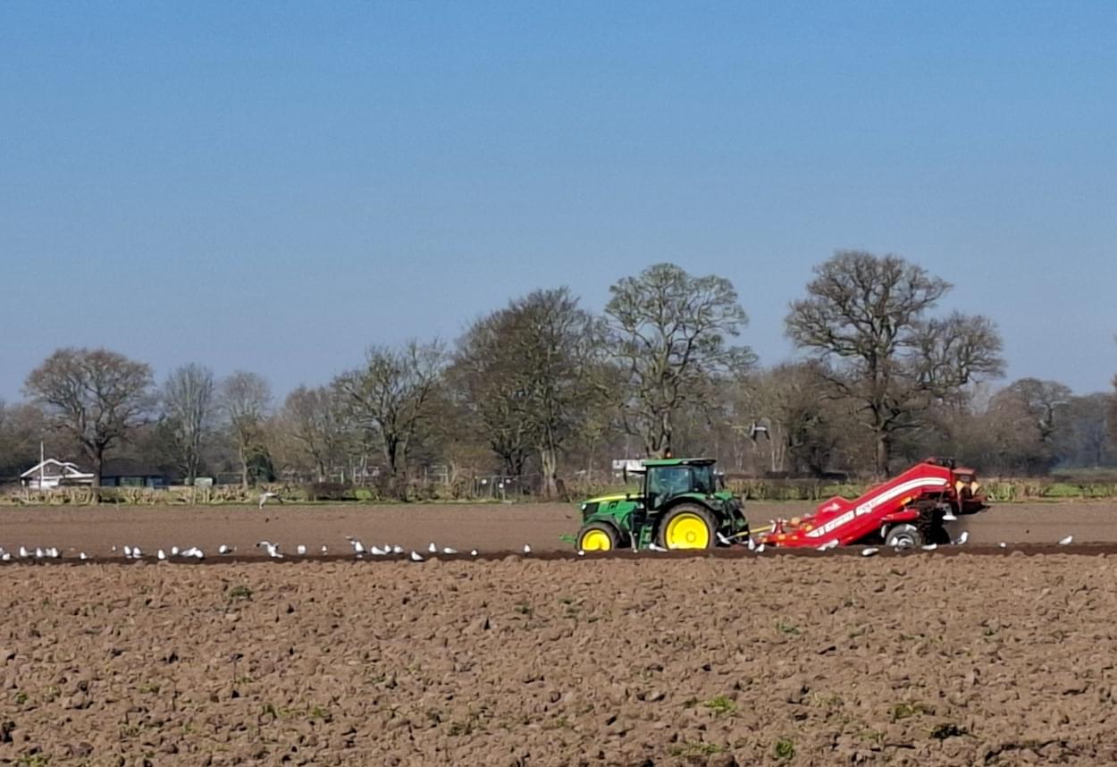 Ploughing on Birch Heath in Christleton  Ploughing on Birch Heath in Christleton