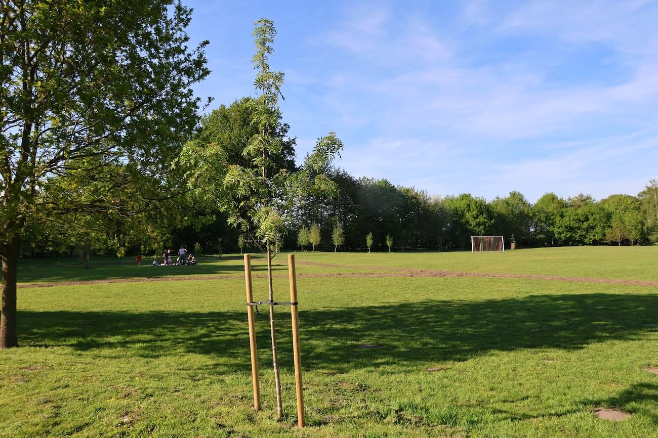 King Georges Playing Field in Christleton