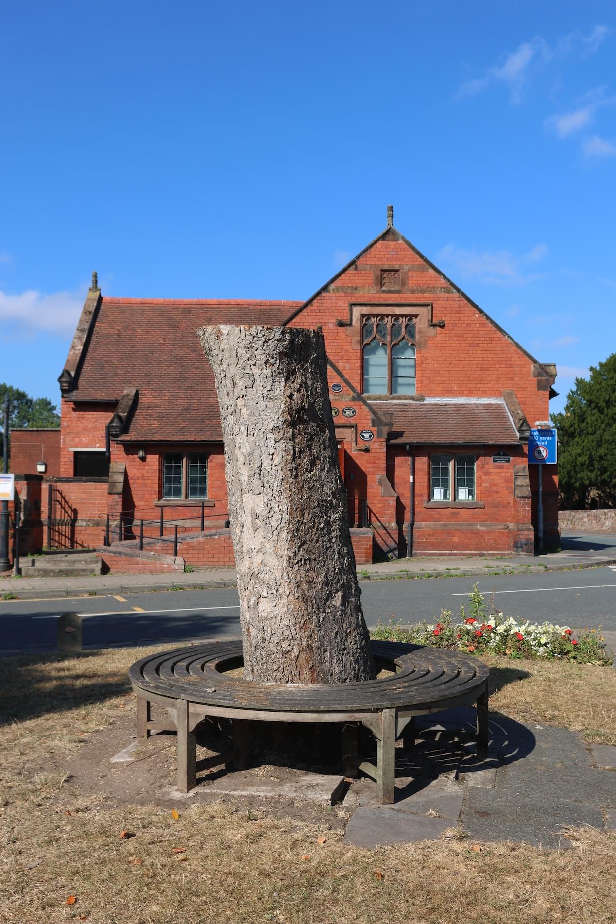 Old Sycamore tree in front of Christleton Parish Hall