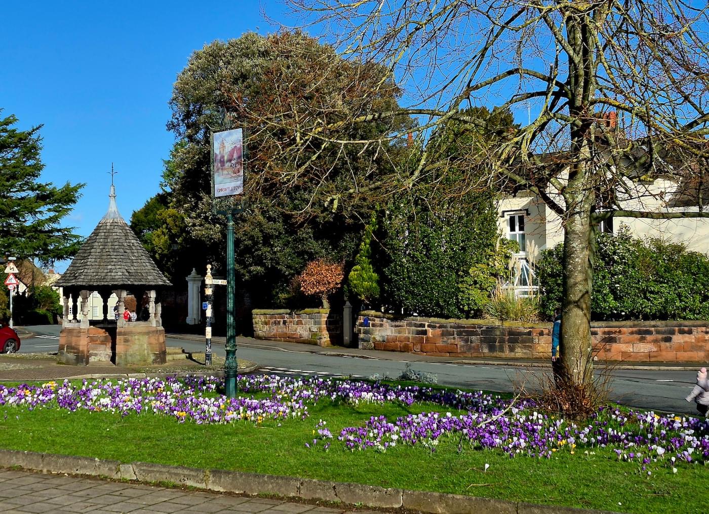 The Vilage Green, Christleton