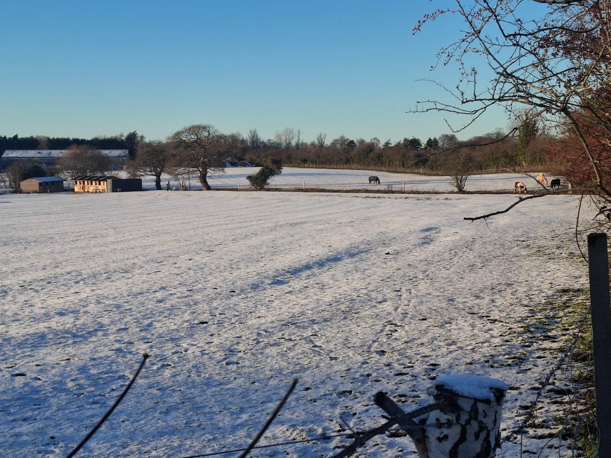Rowton Meadow in January