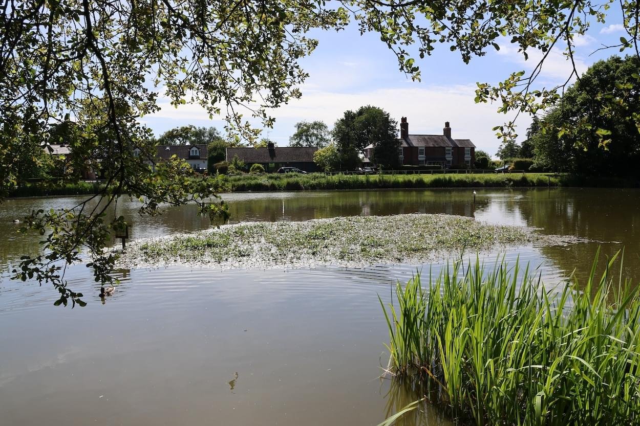 Christleton Pit