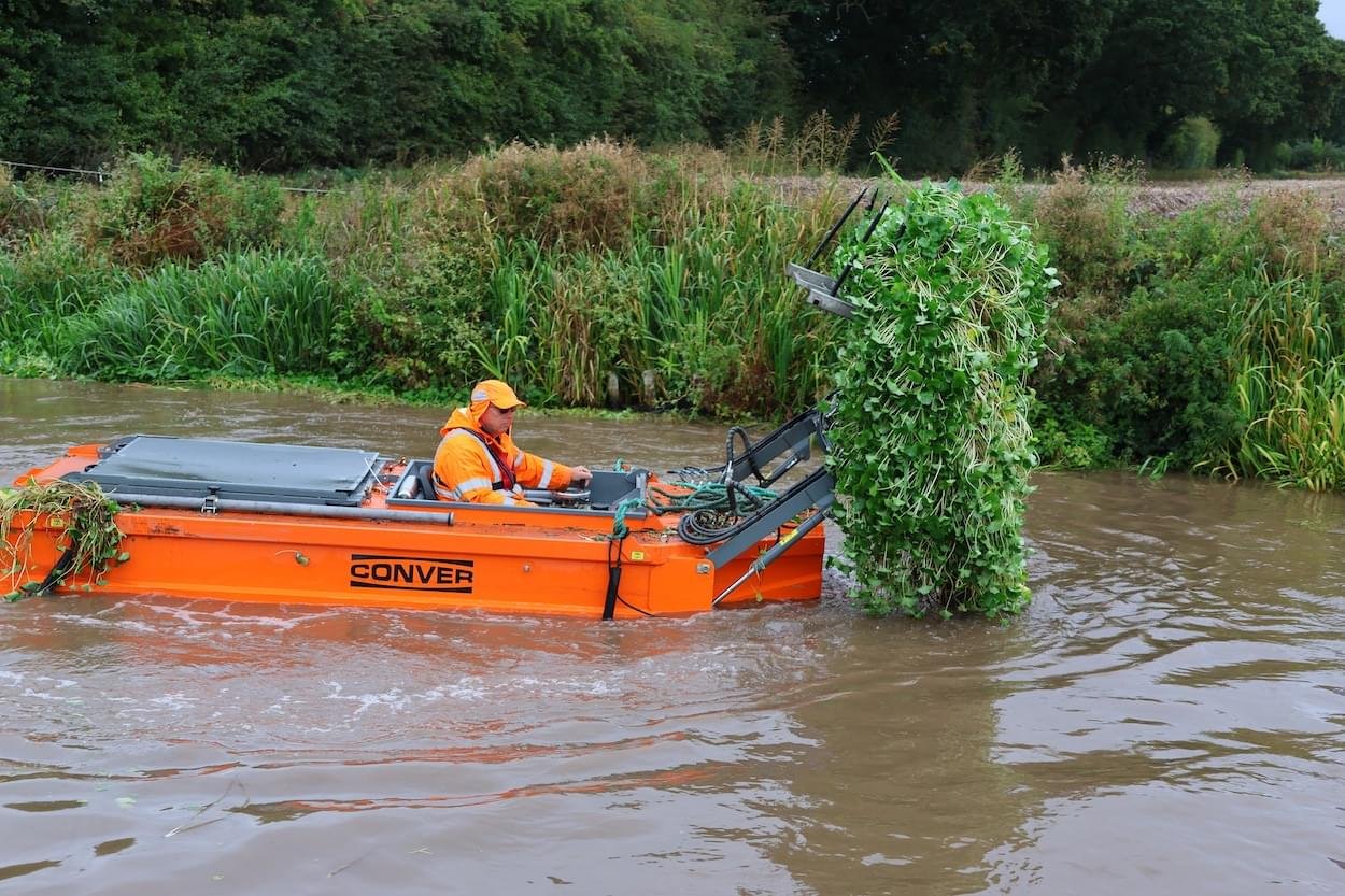 Removing floating pennywort from the canal