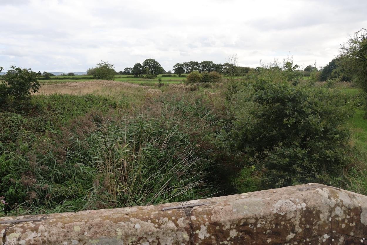 River Gowy at Hockenhull blocked with weed and redds
