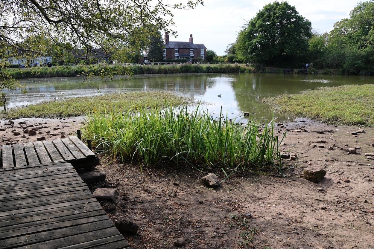 Low water in Christleton Pit during 2026