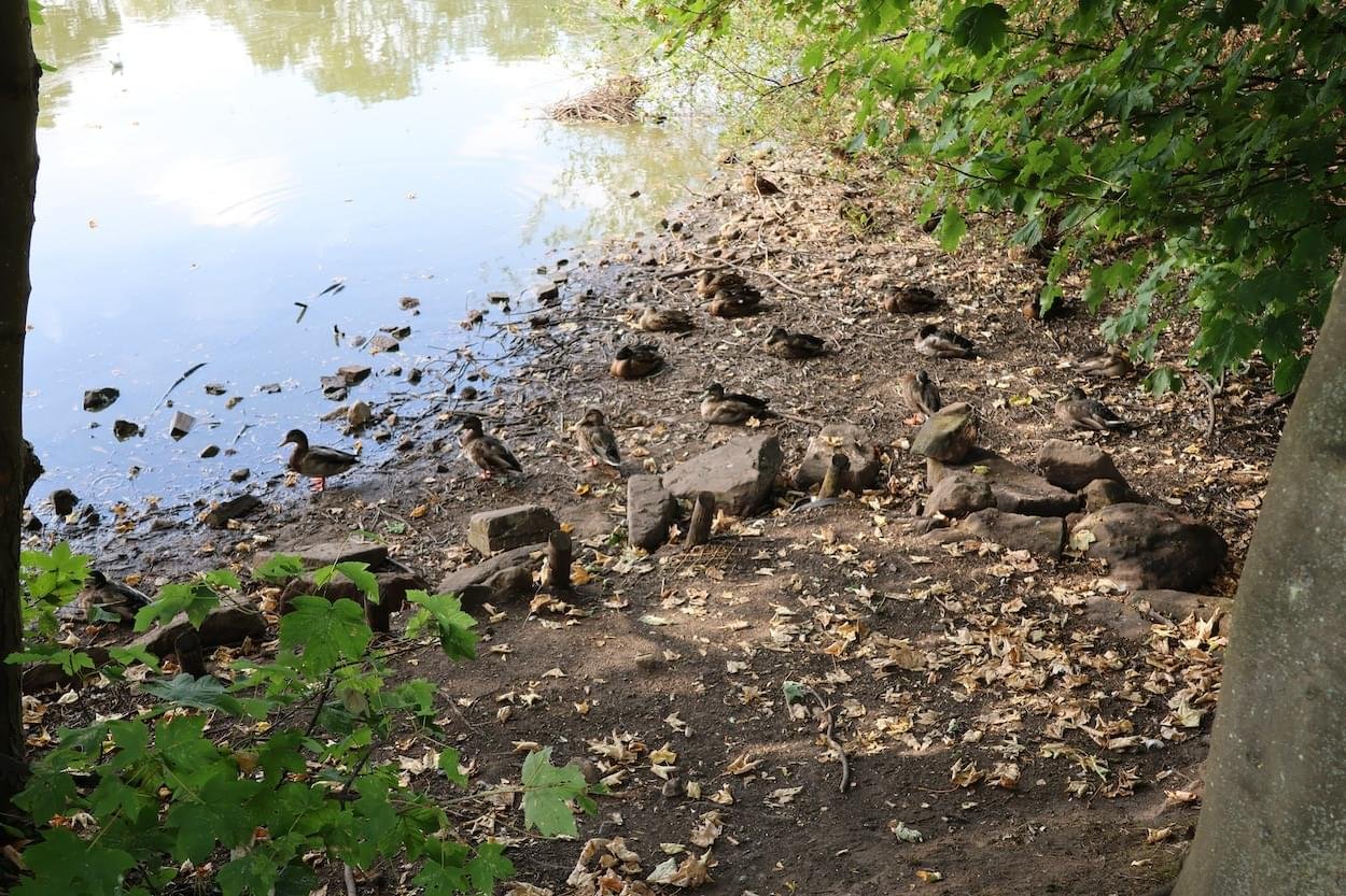Christlweton Pit in October 2026