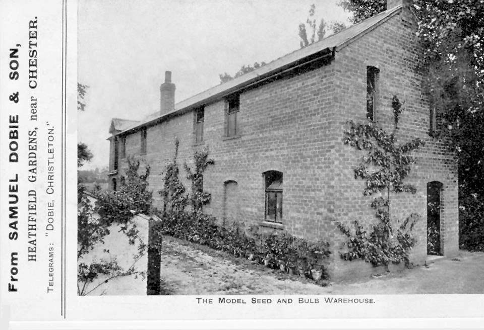 The model seed and bulb warehouse