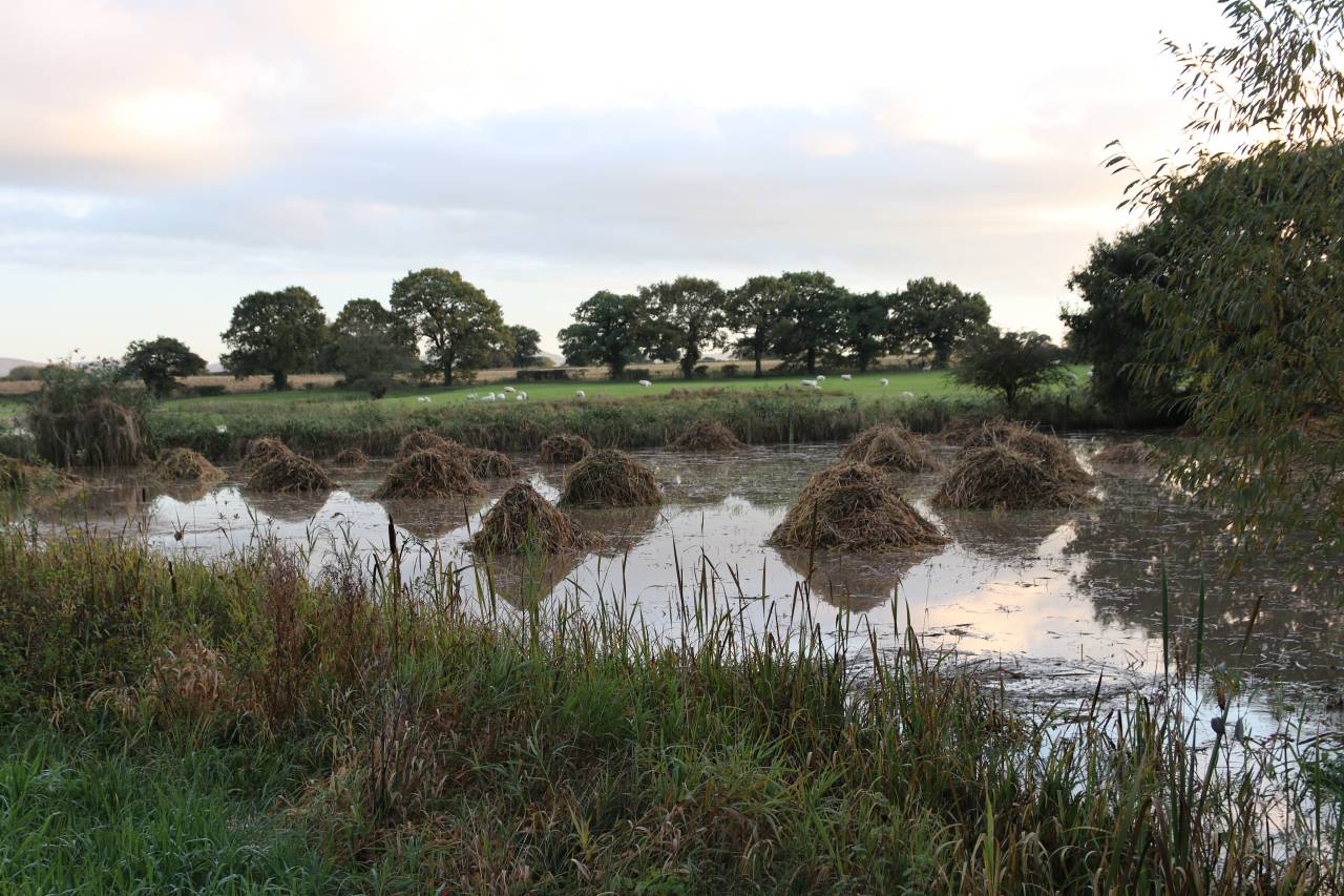 Flooded Gowy  Flooded Gowy