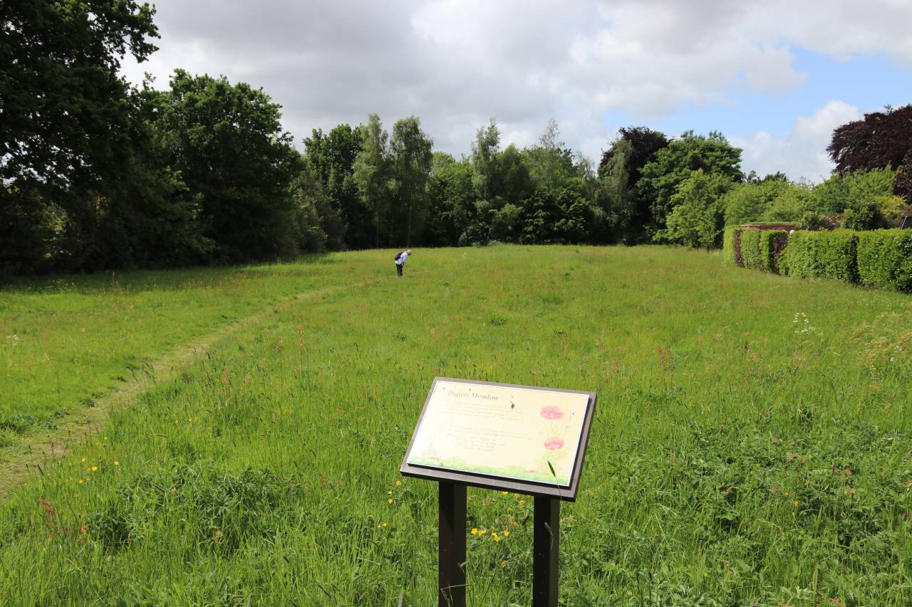 Legion Meadow, Christleton in Spring