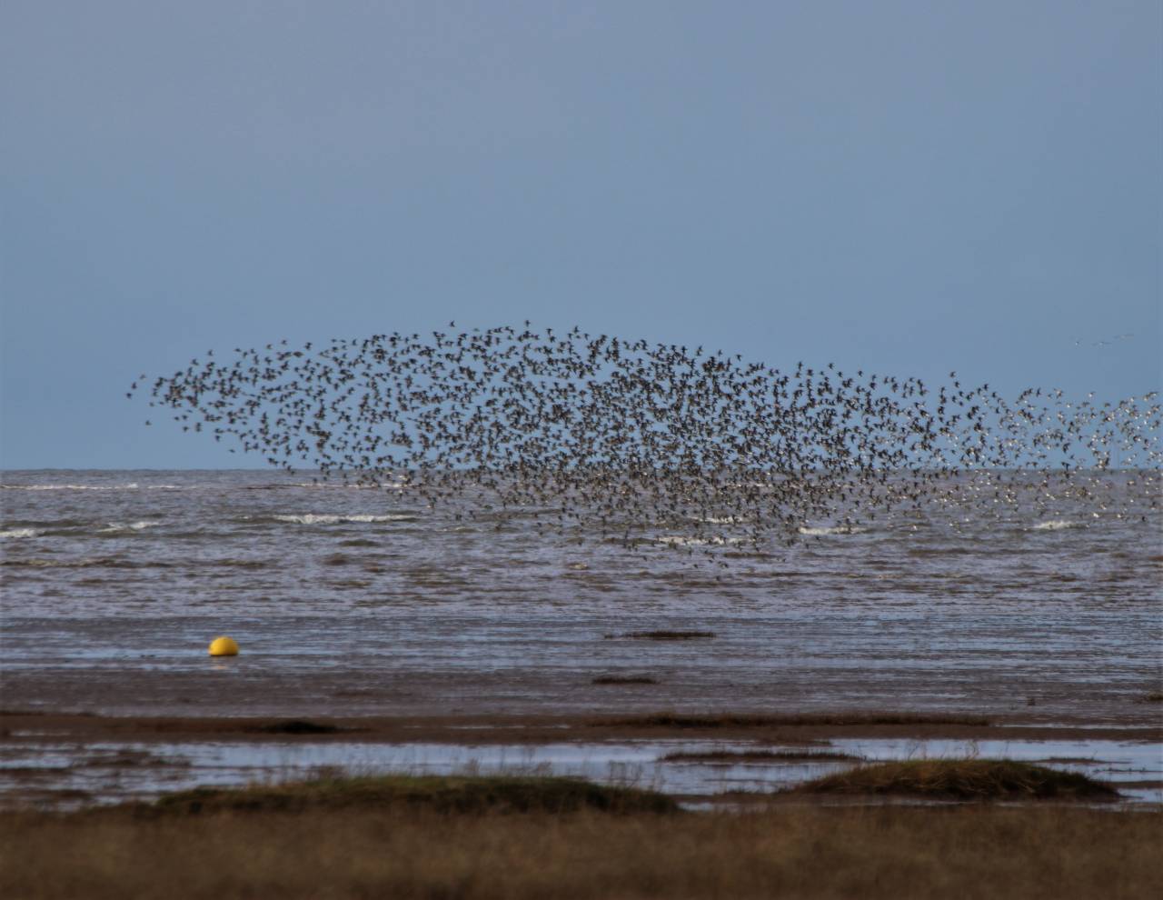 On the Wirral Shoreline