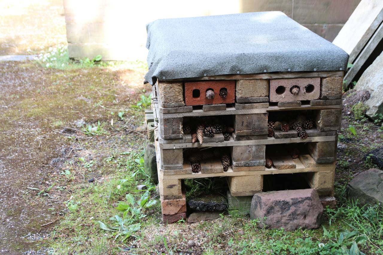 Bug Hotel