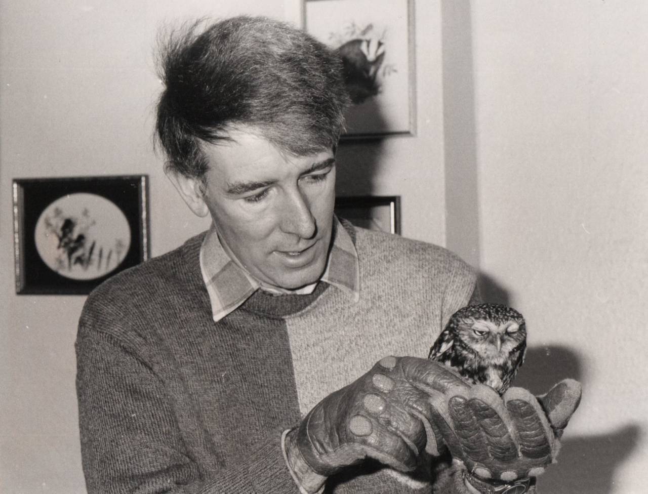  Davd with a Little Owl 