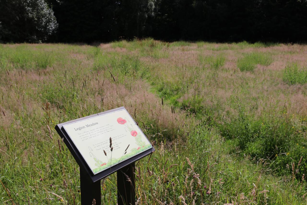 Legion Meadow in Late Summr