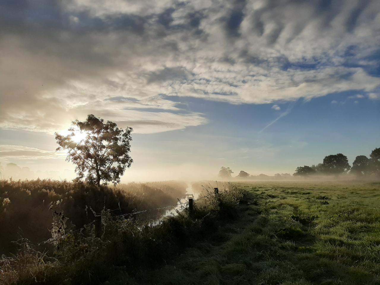  The Gowy, October 2020 