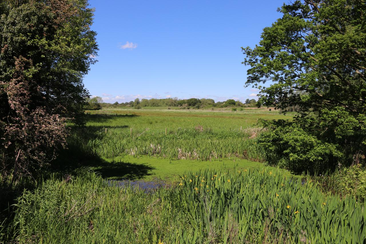  Hockenhull June 2019 