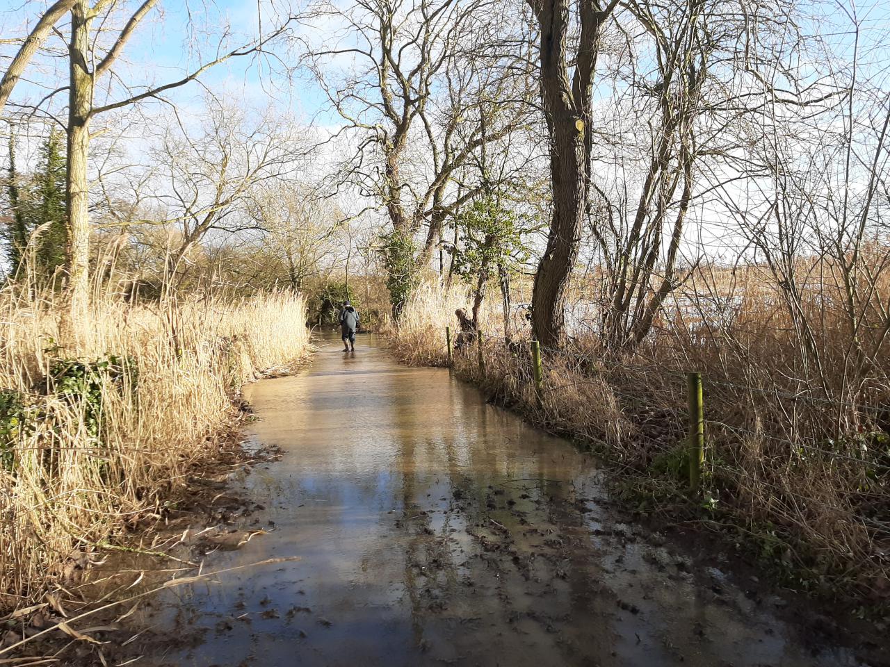 Flooded Causeway January 2021 
