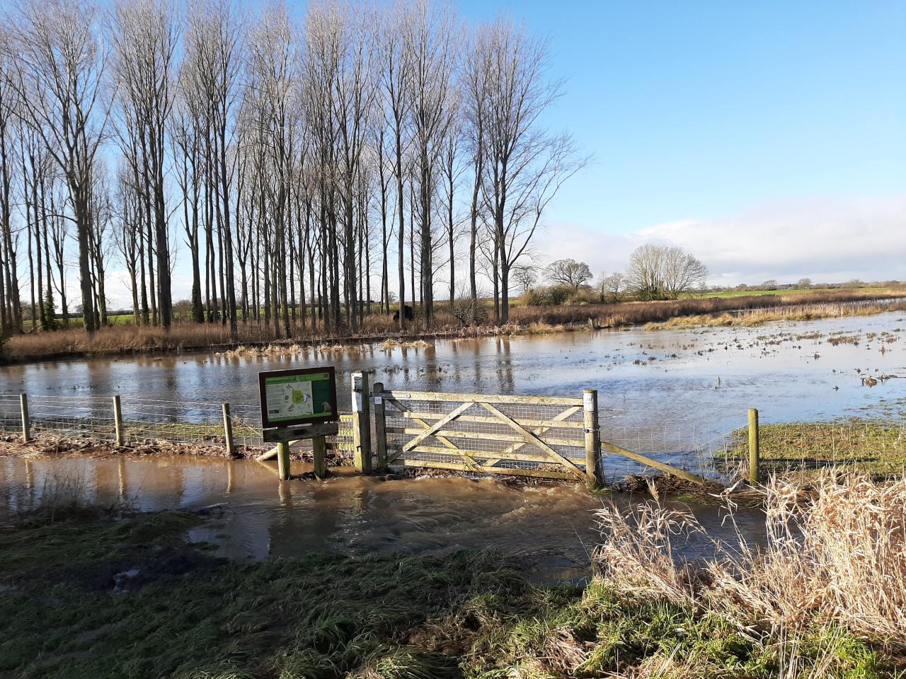 Hockenhull Platts Reserve underwater 
