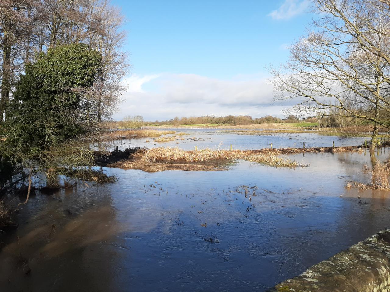  Pond and Big Meadow under water 