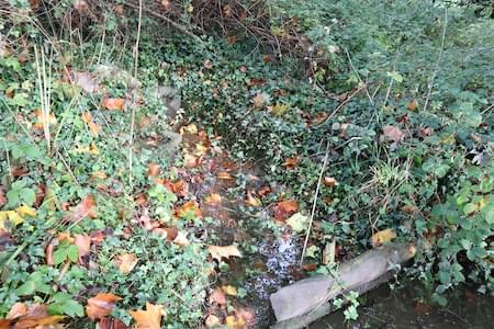 The Pit overflow
