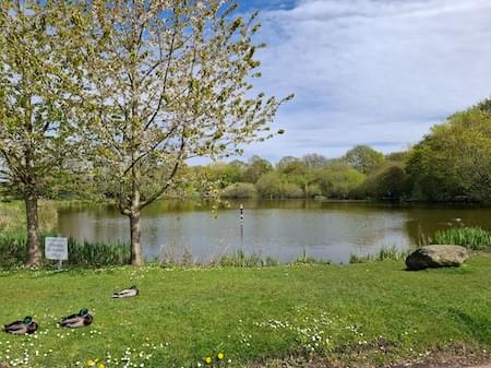 Christleton Pit in April